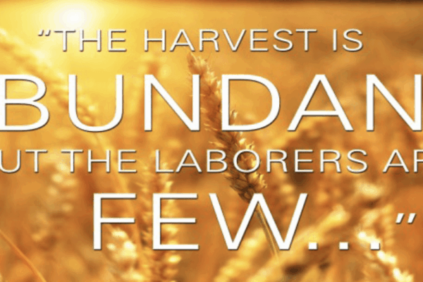 14th Sunday of Ordinary Time